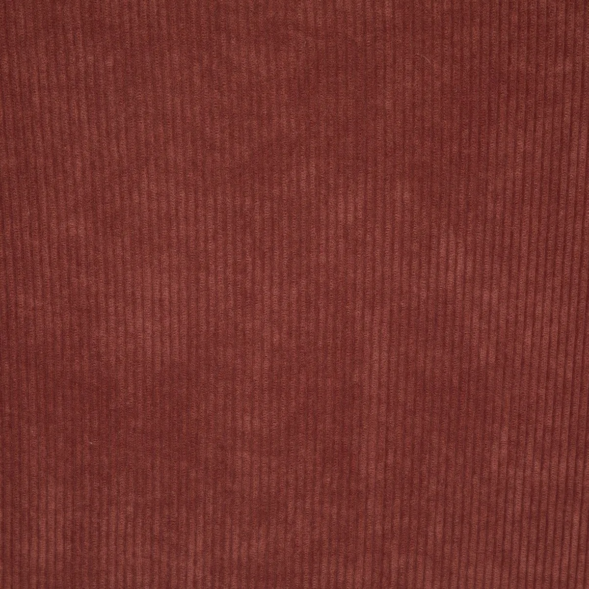 Fotel Celeste terracotta/czarne nogi - obrazek 4