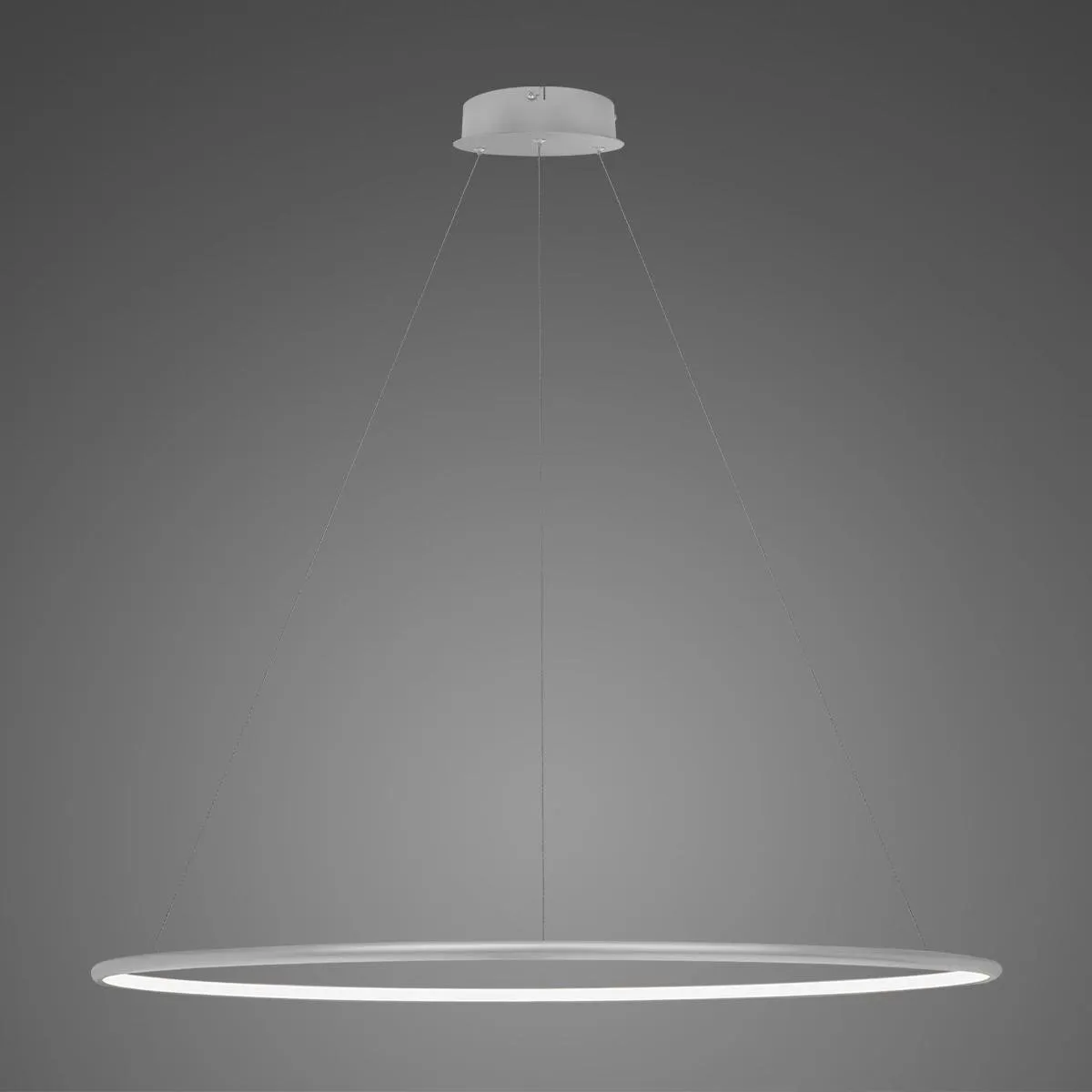 Lampa wisząca Ledowe Okręgi No.1 120cm 3k srebrna ściemnialna - obrazek 2
